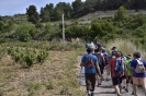 Caminada a les Gatelletes (Pla de Manlleu)